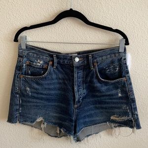 Agolde Jaden High Rise Denim Shorts